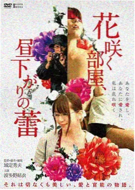 林晚 人物档案